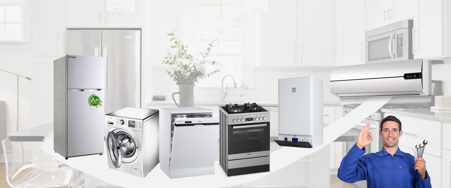 Erciş Electrolux Servisi